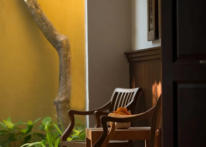 Alaya Dedaun Kuta Villa *